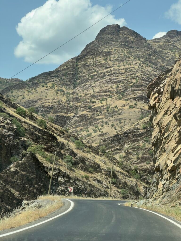 IMG_0373